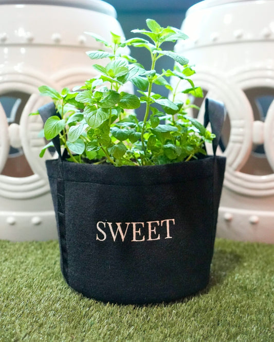 Sweet Mini Patio Garden Kit image