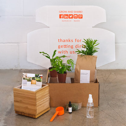 Tropical Desktop Garden Gift Set with Votive Candles