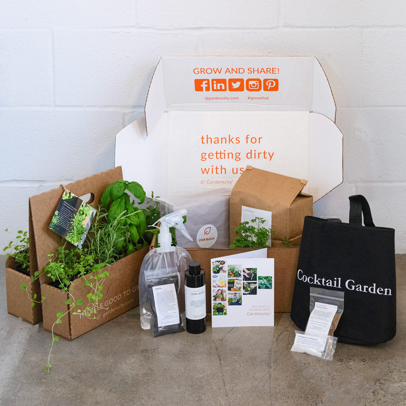 Cocktail Garden Kit‎ with seasonal herbs