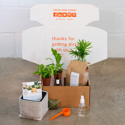 Tropical Desktop Garden Gift Set with Votive Candles