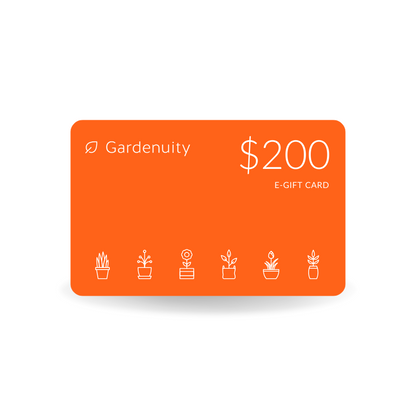 Digital Gift Card