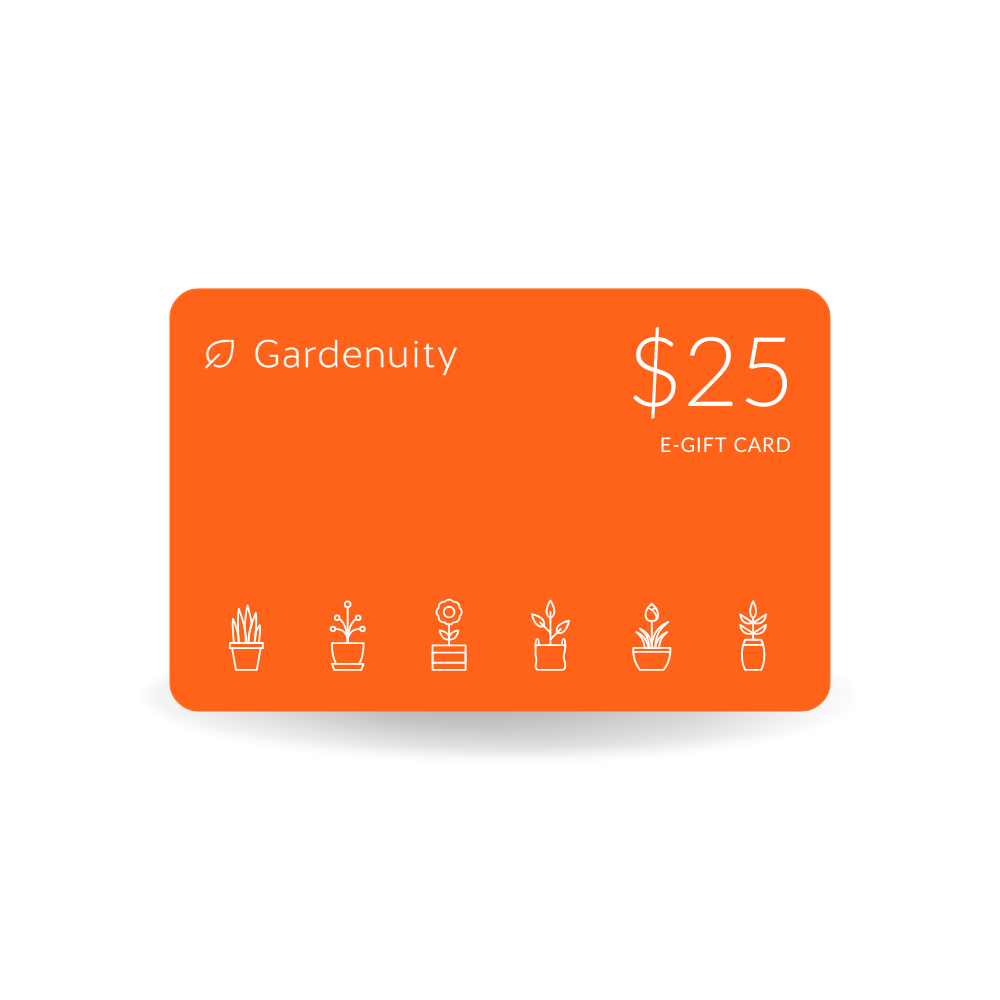 Digital Gift Card