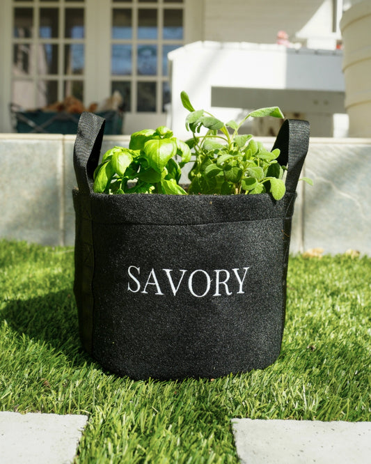 Savory Mini Patio Garden Kit image