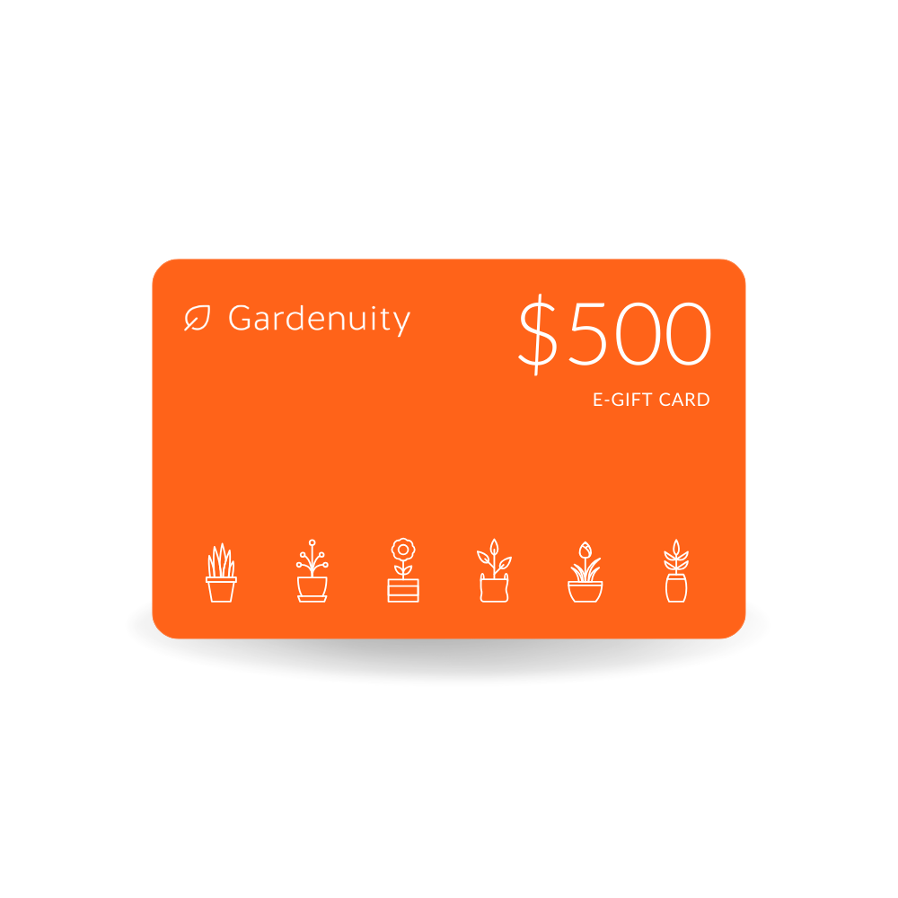 Digital Gift Card