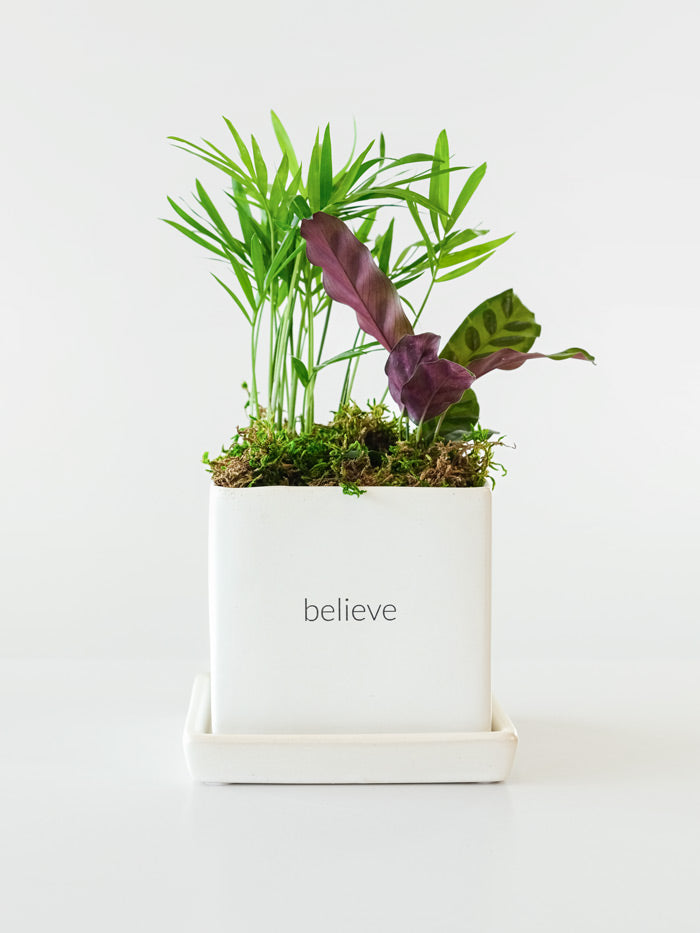 Be Well Desktop Garden Gift Set‎ with notebook