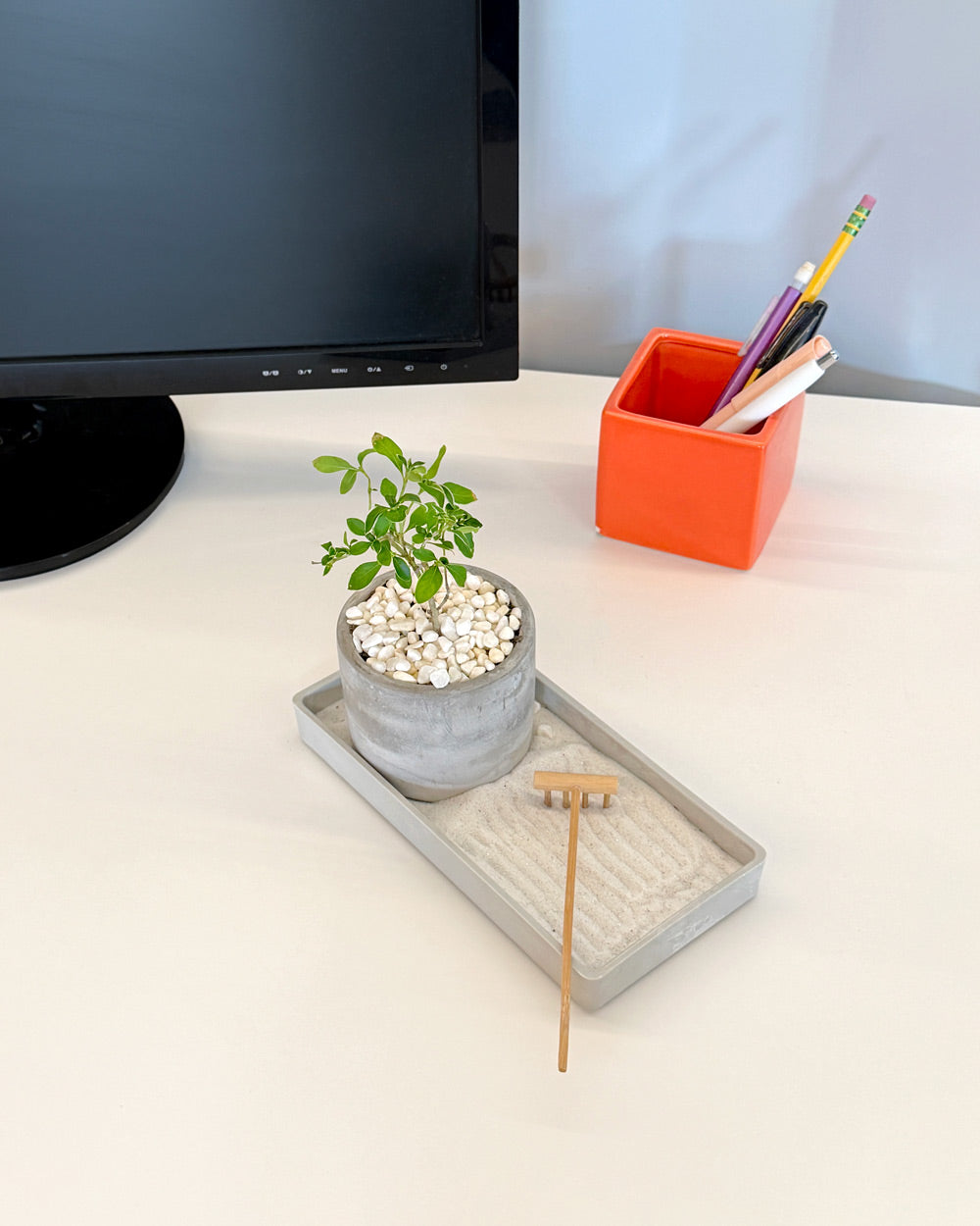 Modern Zen Desktop Garden with mini bonsai plant
