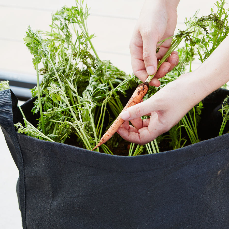 Growing For Good Garden Kit with veggie seed strips + herb plants