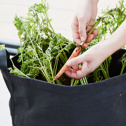 Growing For Good Garden Kit with veggie seed strips + herb plants