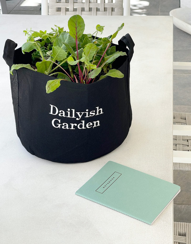Dailyish Garden Gift Set with seasonal herbs + journal