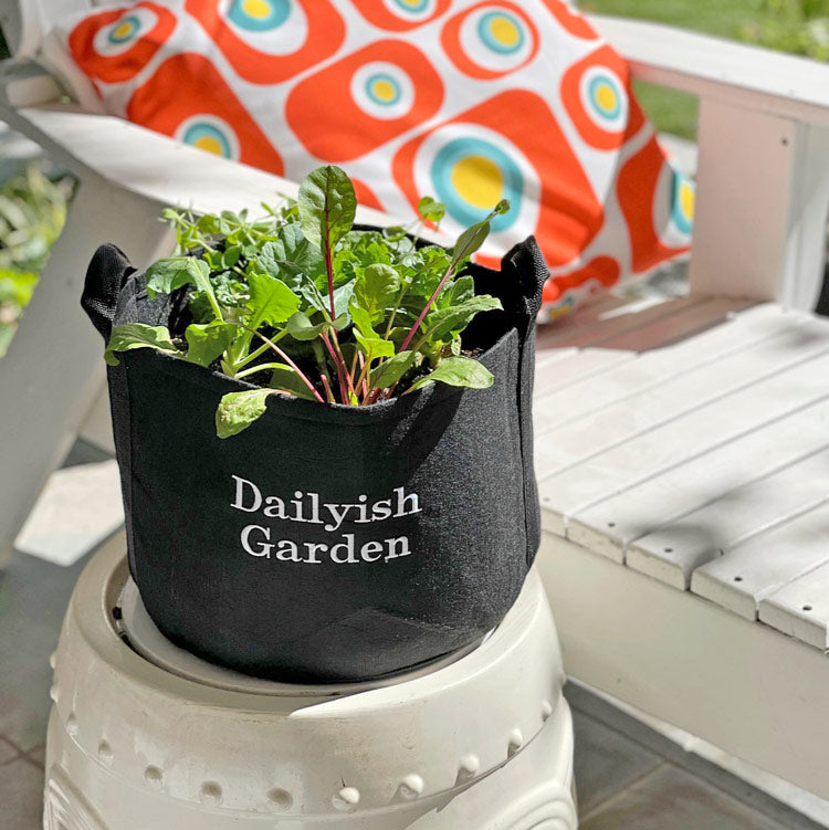 Dailyish Garden Gift Set with seasonal herbs + journal