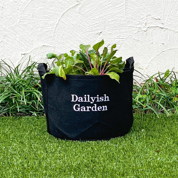 Dailyish Garden Gift Set with seasonal herbs + journal