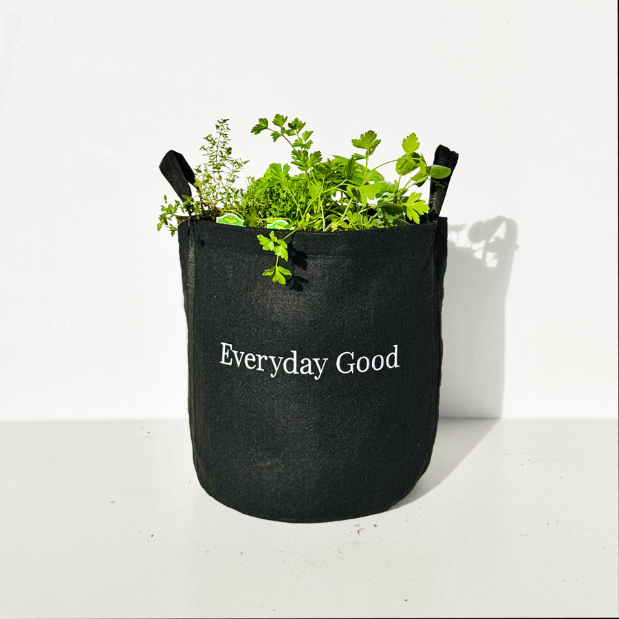 Everyday Good Garden Kit with culinary herb plants
