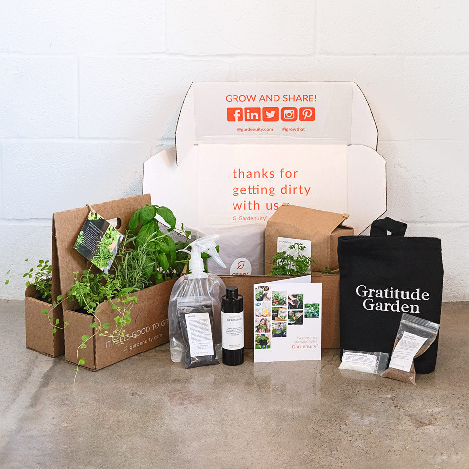 Gratitude Garden Kit with seasonal herbs