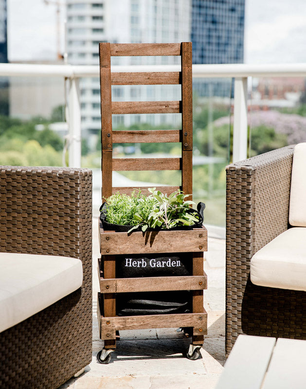Grow Your Own Garden Kit
