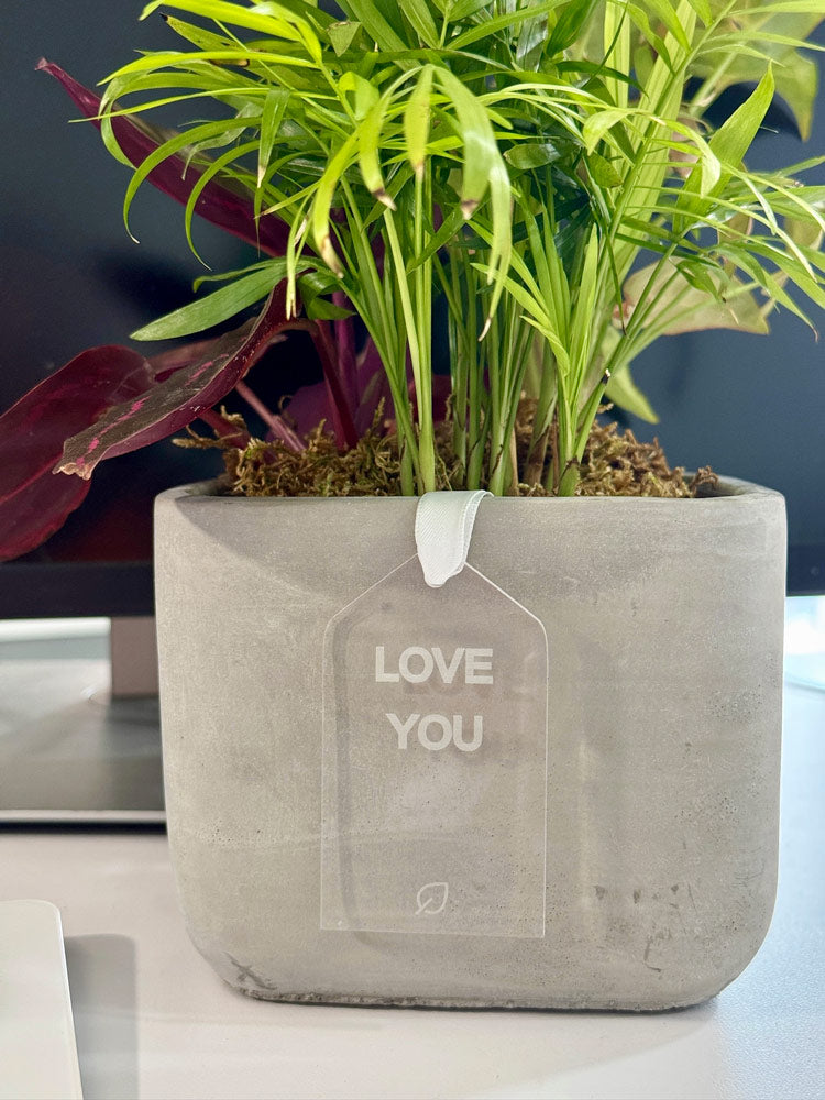 Acrylic Gift Tag