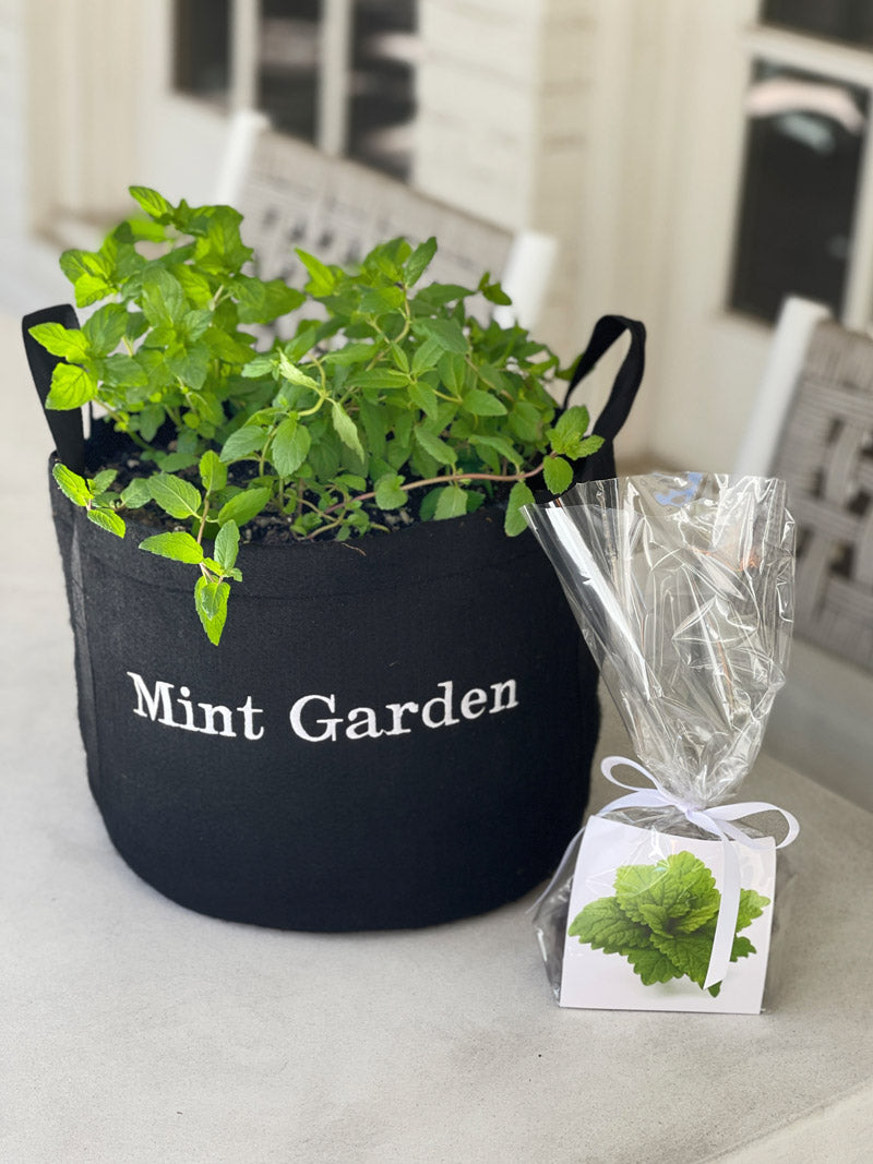 Mint Garden Gift Set with mint patties