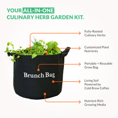 Brunch Bag Garden Kit with seasonal herb plants