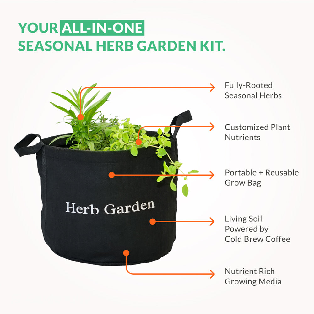 Herb Garden Kit with seasonal culinary herbs