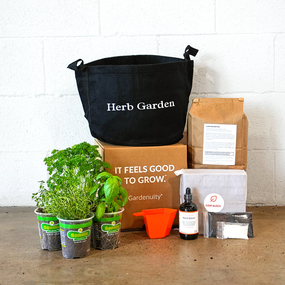 Herb Garden Kit with seasonal culinary herbs