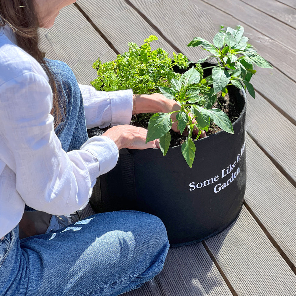 Some Like It Hot Giftable Garden