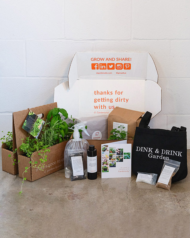 Dink & Drink Giftable Garden with seasonal herbs
