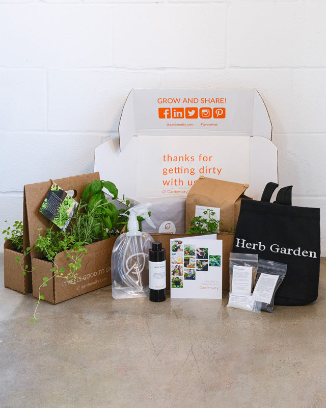 Grow Your Own Garden Kit