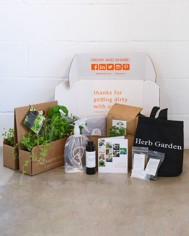 Herb Garden Kit with seasonal culinary herbs