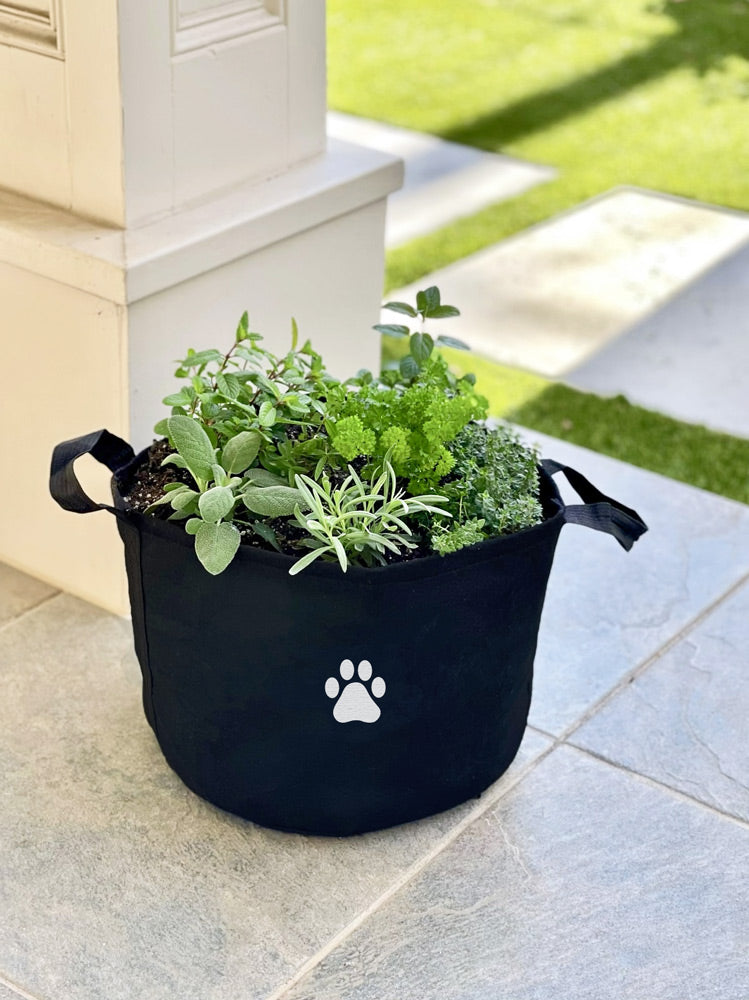 Cat Giftable Garden‎ with pet-friendly herbs