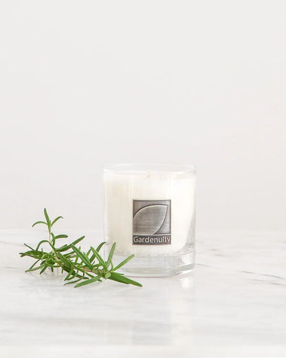 Signature Soy Votive Candle Set