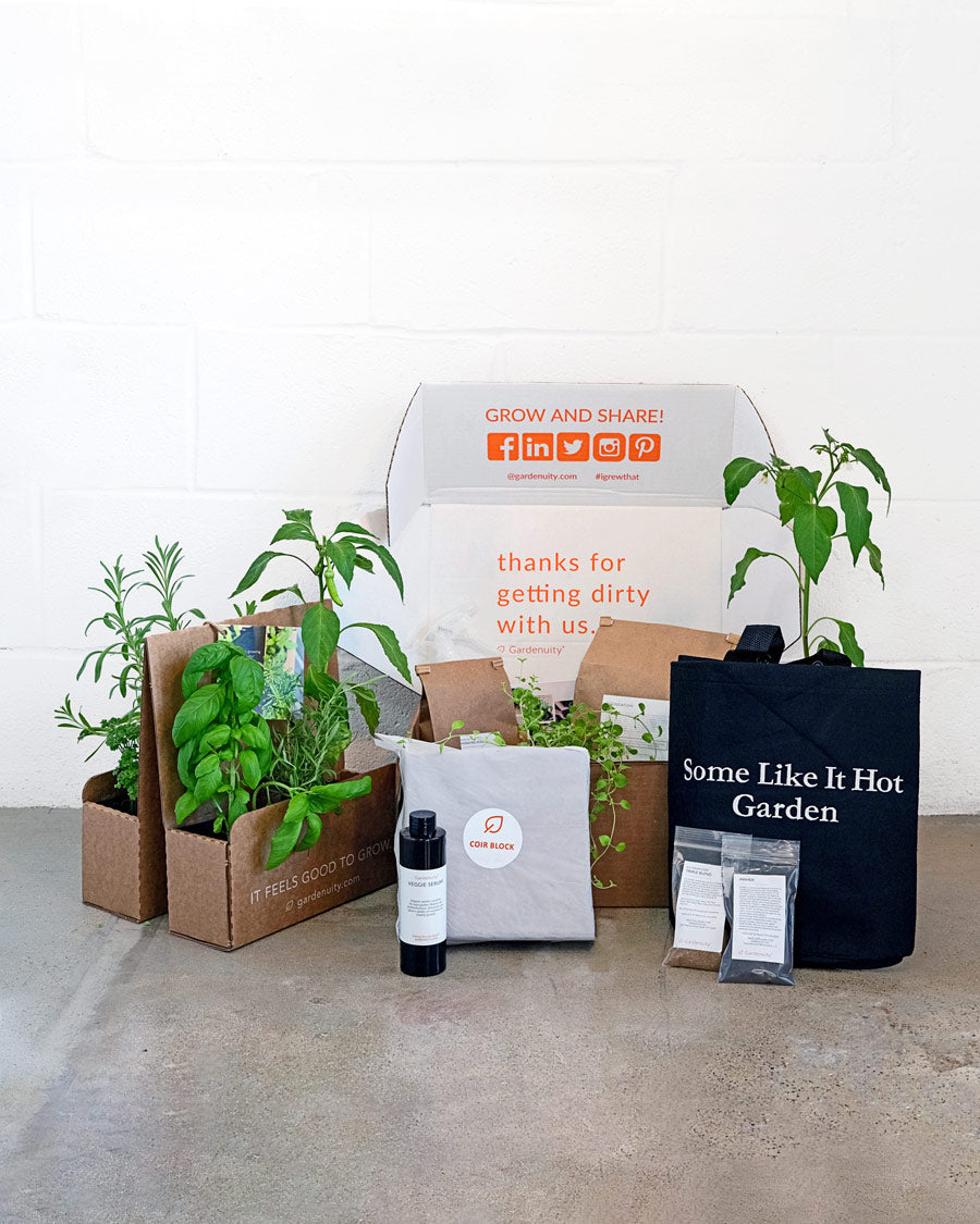 Some Like It Hot Giftable Garden