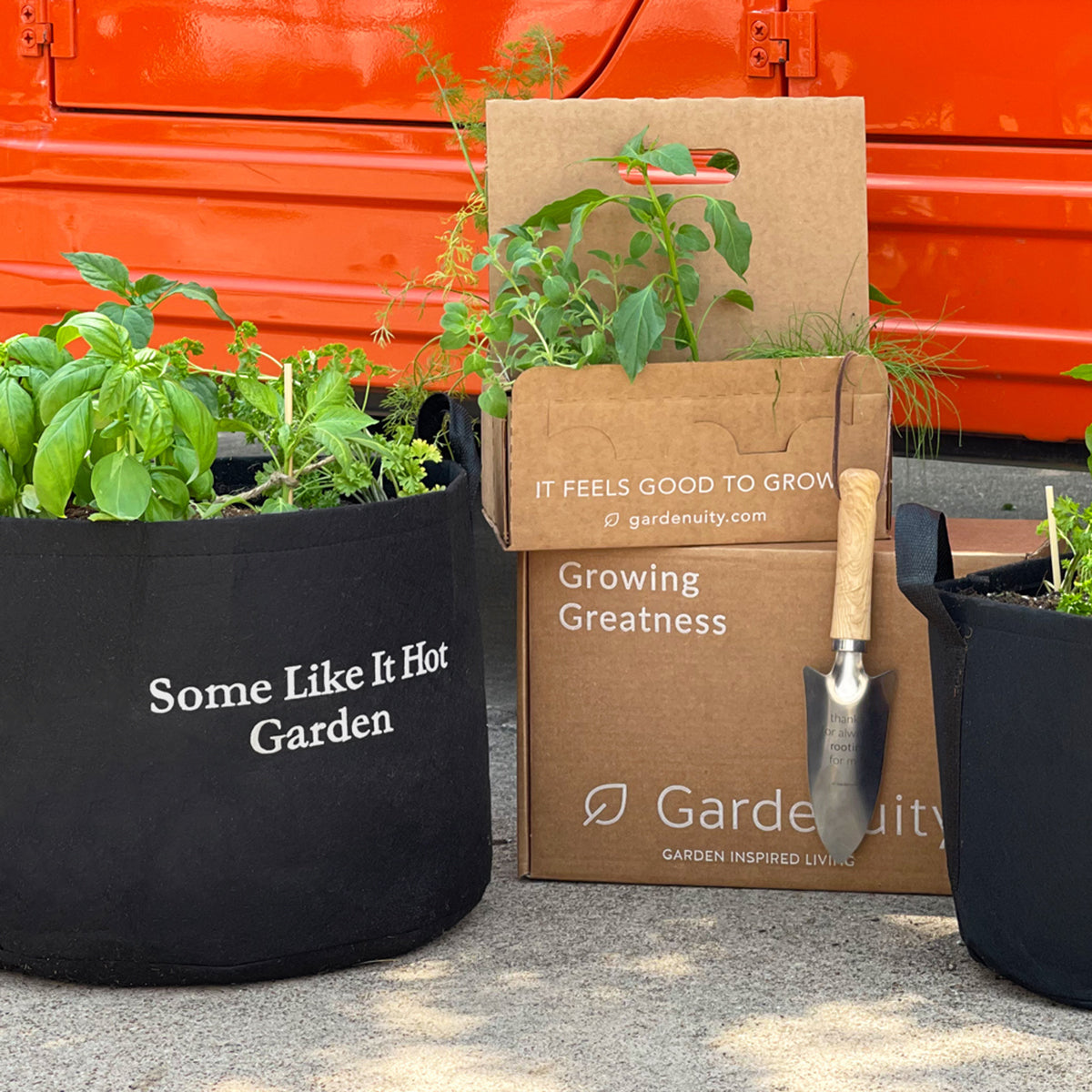 Some Like It Hot Garden Kit with pepper + herb plants