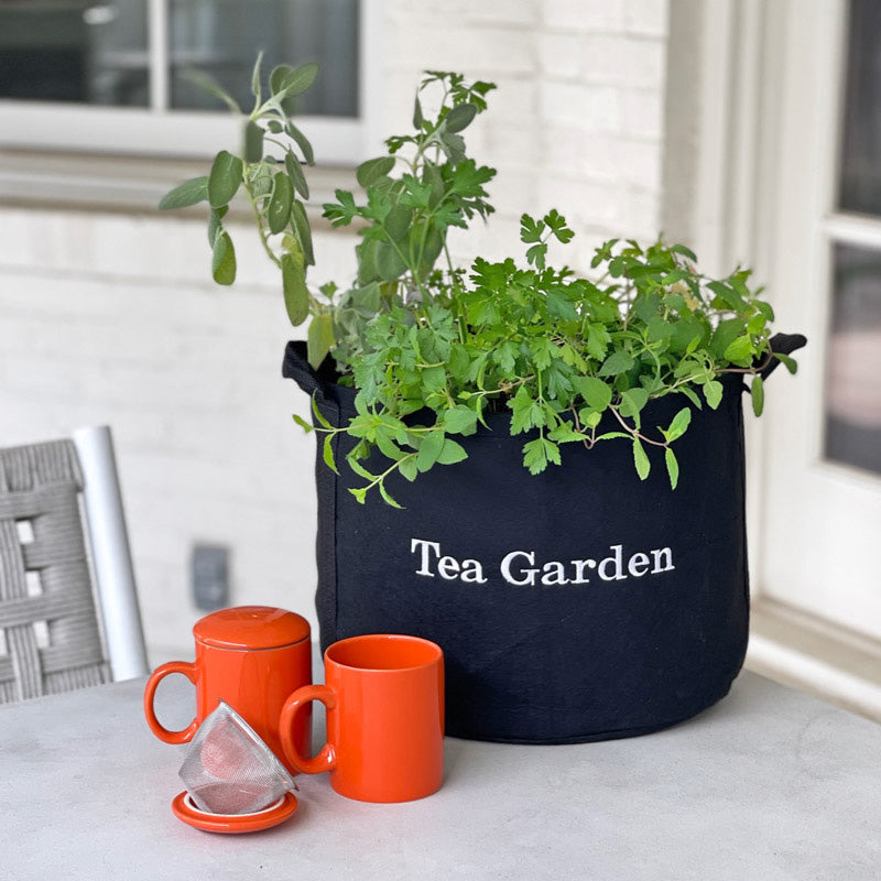 Tea for Two Garden Gift Set with Tea Brewer Mugs