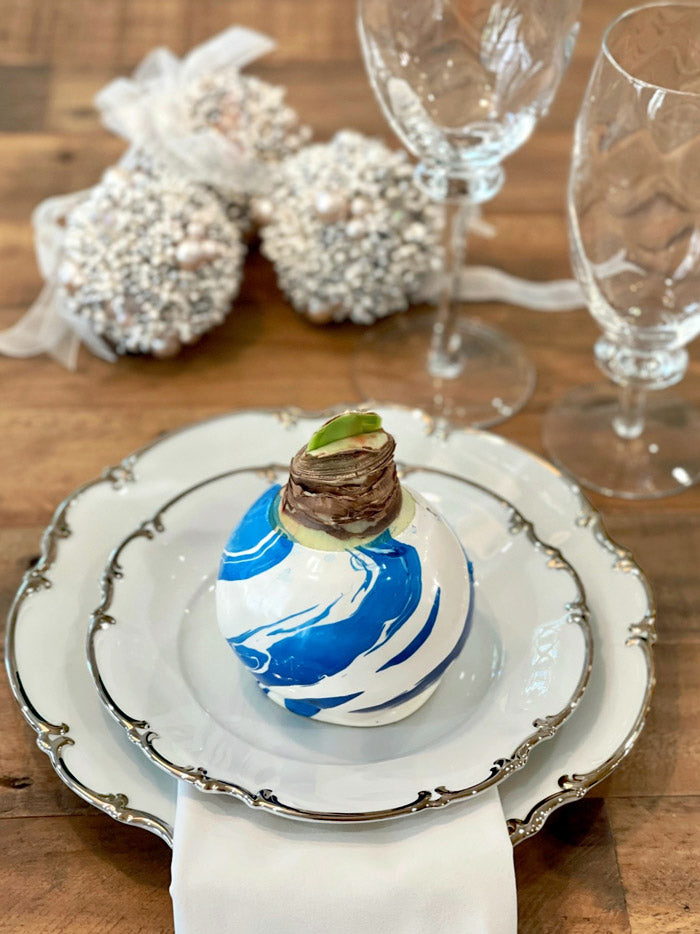 Wax-Dipped Amaryllis Bulb Subscription