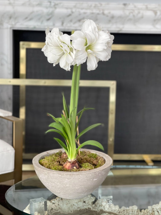 Bowl of White Alfresco Blooms