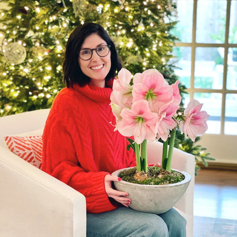 Bowl of Blushing Pink Blooms