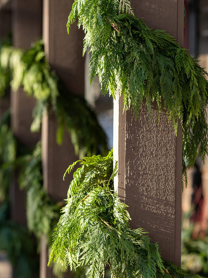 Fresh Cedar Holiday Garland, 20'