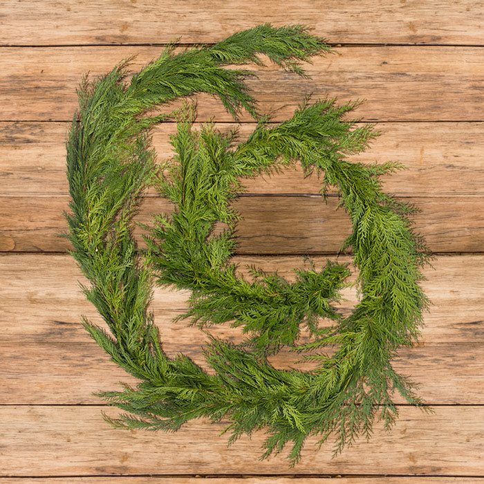 Fresh Cedar Holiday Garland, 20'