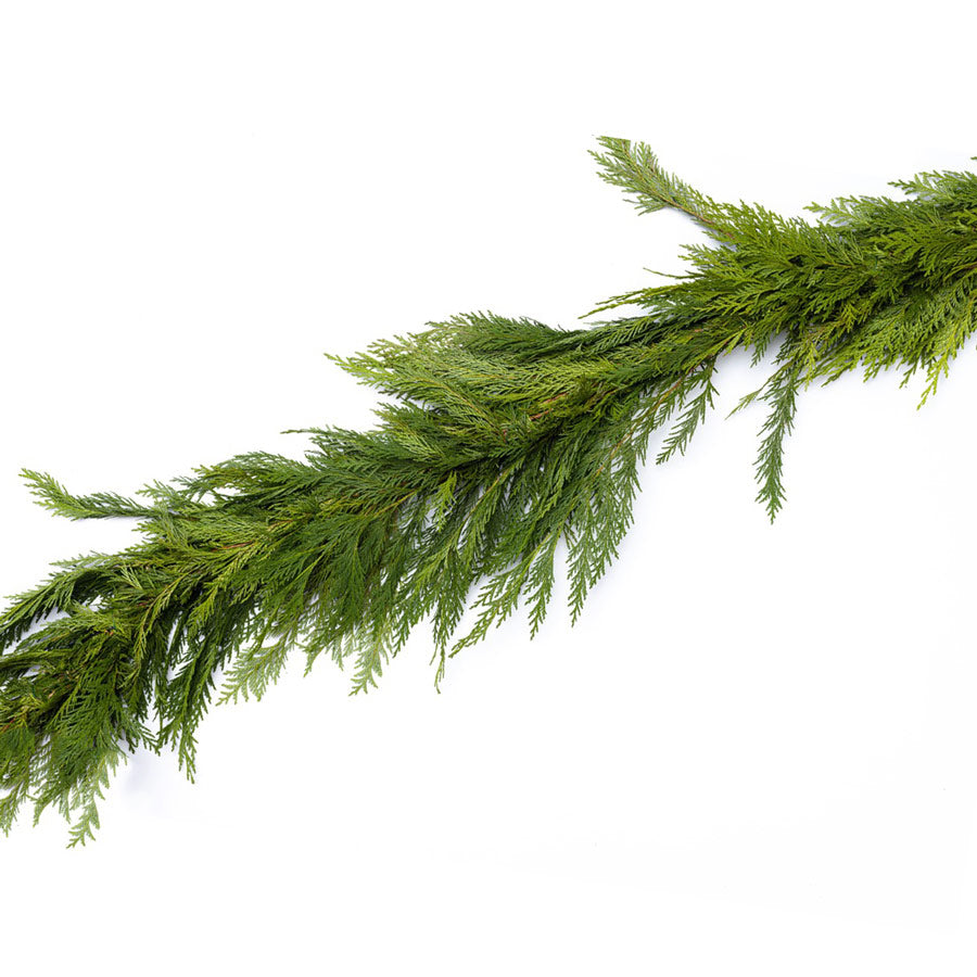 Fresh Cedar Holiday Garland, 20'