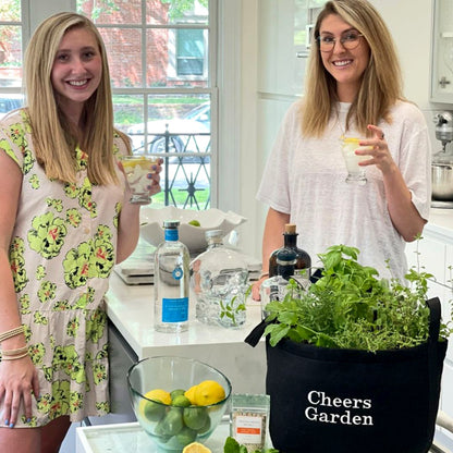 Cheers Garden Kit with cocktail-inspired herbs