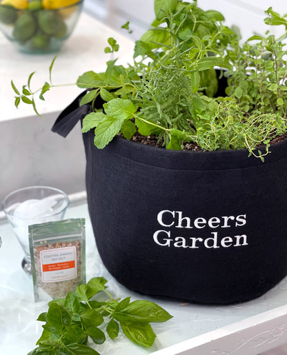 Cheers Garden Kit with cocktail-inspired herbs