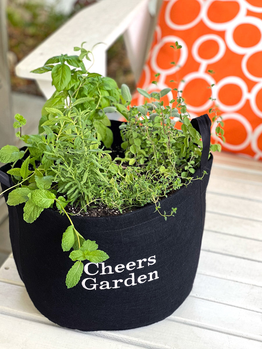 Cheers Giftable Garden