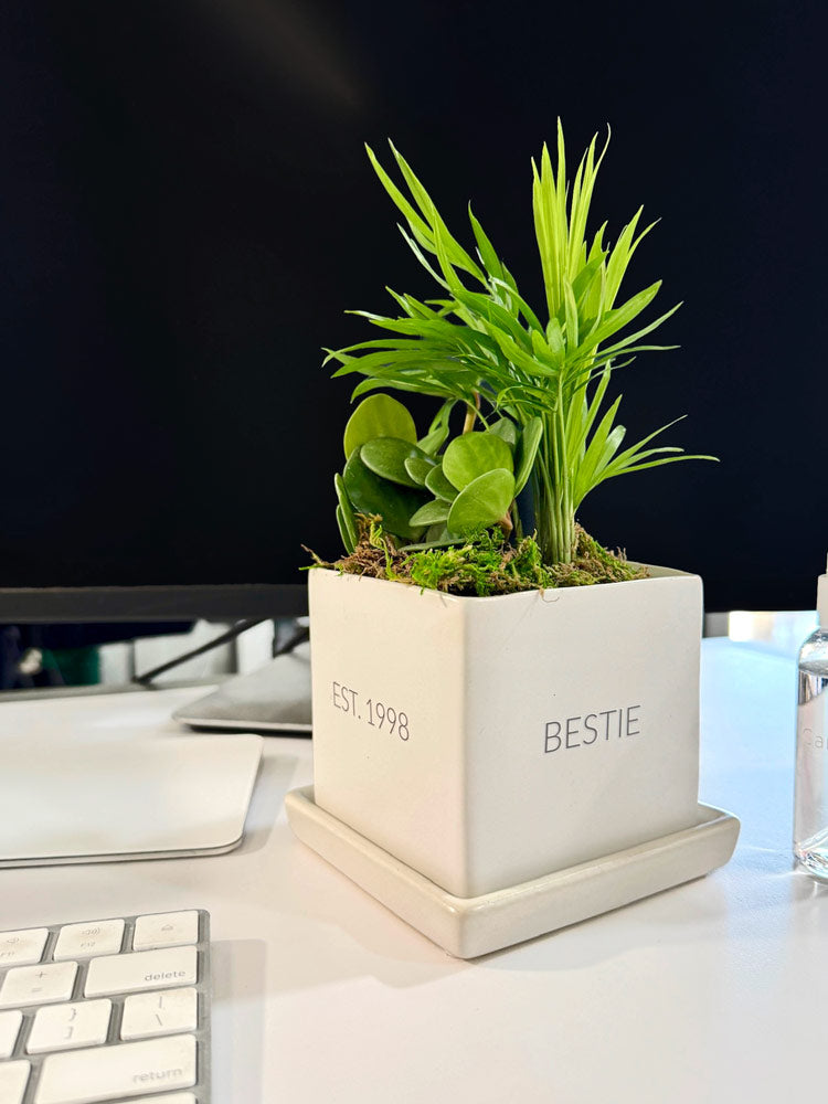 Conversation Tropical Desktop Garden with personalized planter