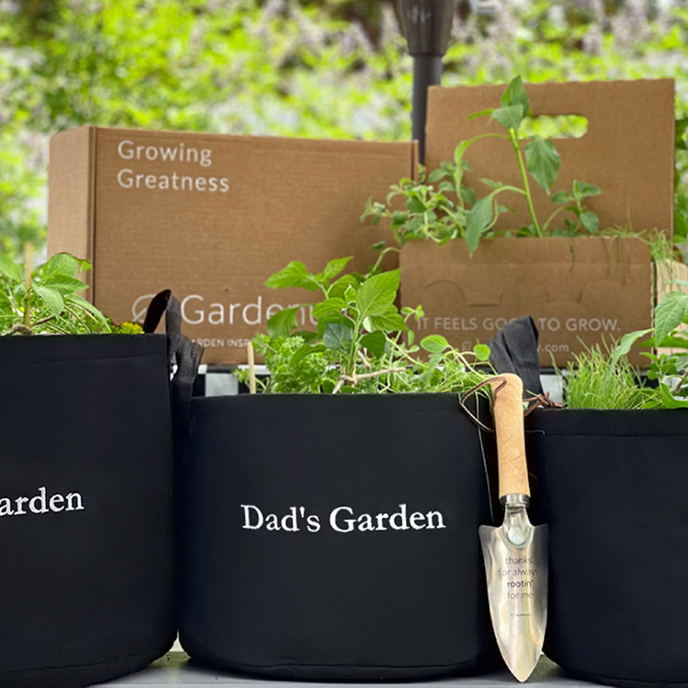 Dad's Garden