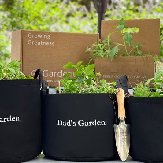 Dad's Garden image