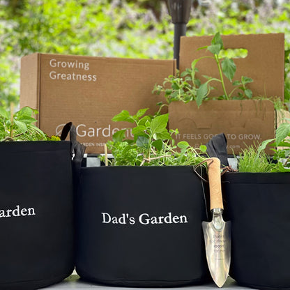 Dad's Garden Kit‎ with tomato + herb plants