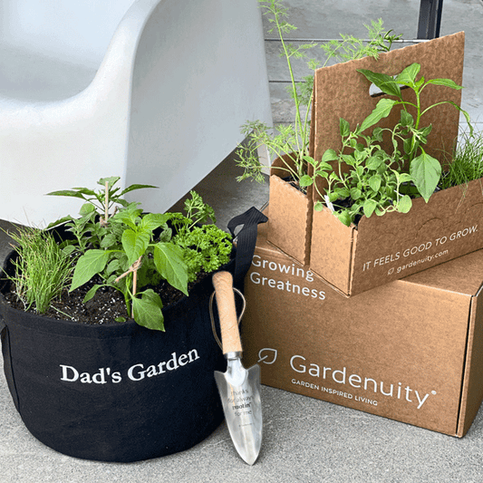 Dad's Garden Kit with pepper + herb plants image