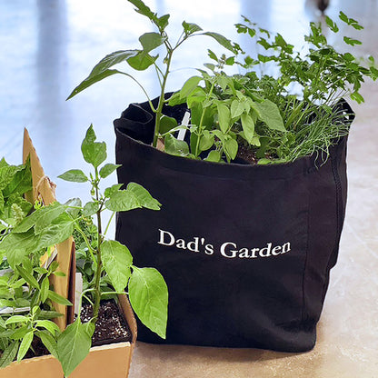 Dad's Garden Kit with pepper + herb plants