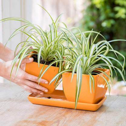 Double Duty Orange Planter