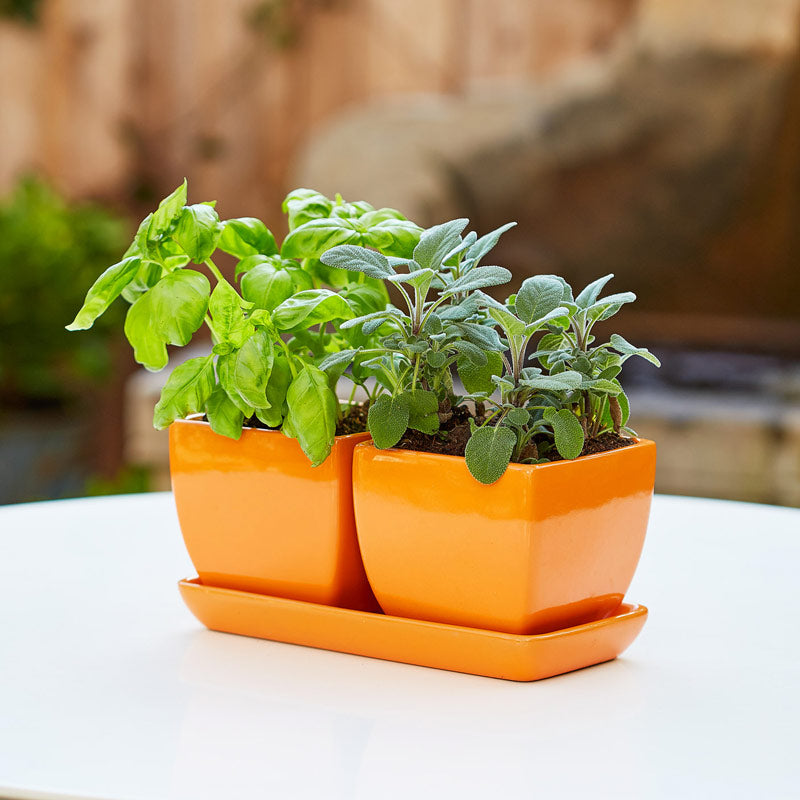 Double Duty Orange Planter