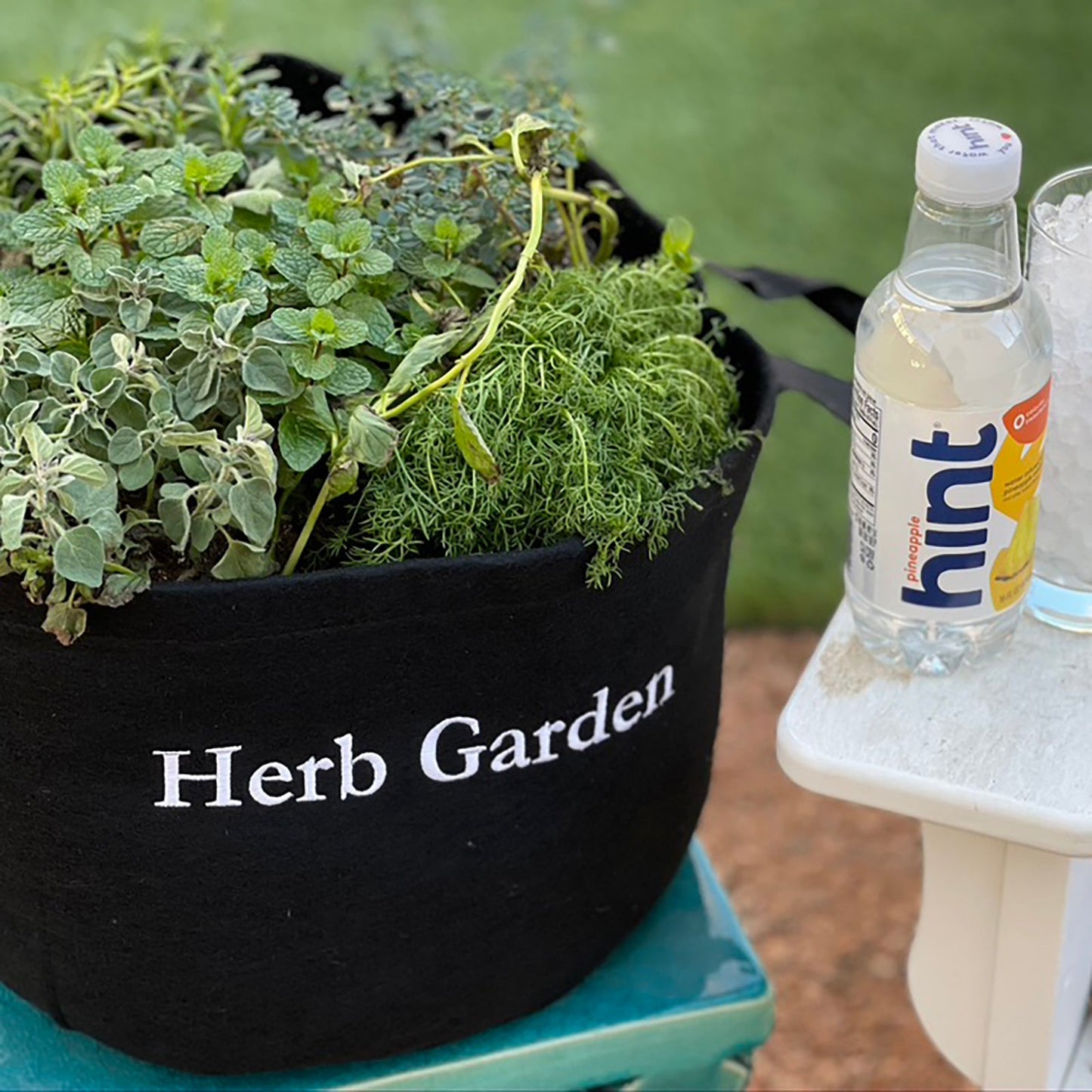 Patio Garden Kit with culinary seasonal herbs
